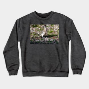 Winter Sighting Of The Greater Roadrunner Crewneck Sweatshirt